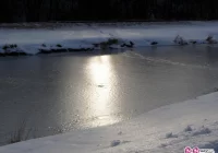 Kolejne ostrzeżenia przed deszczem, wiatrem i roztopami - zdjęcie główne