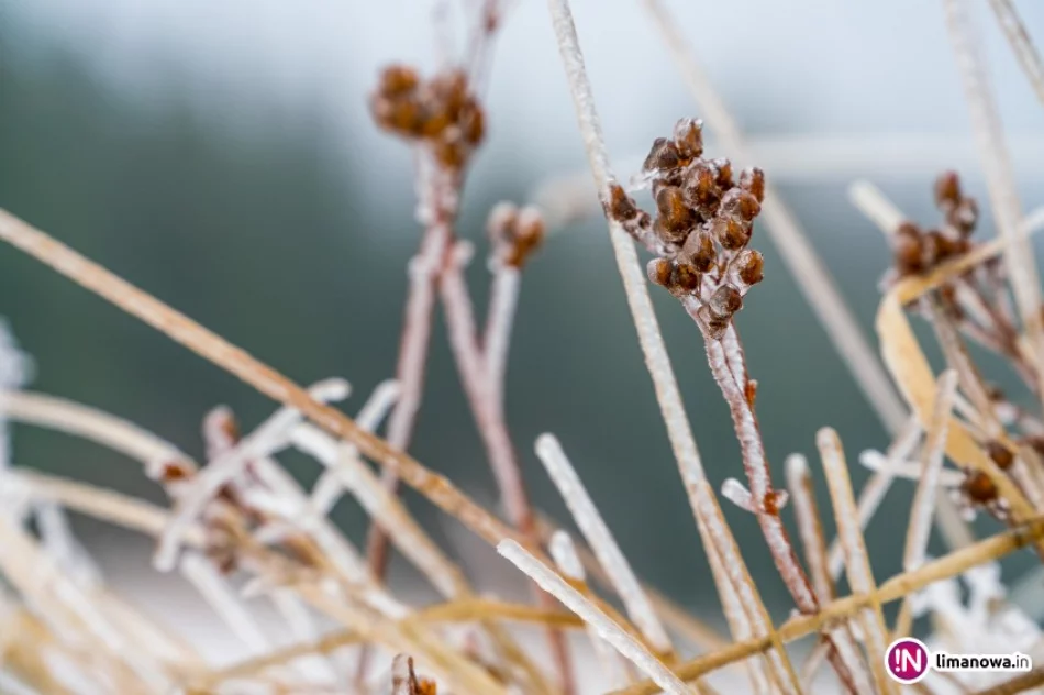 Kolejne ostrzeżenie po roztopach, a dziś rano lodowisko - zdjęcie 3