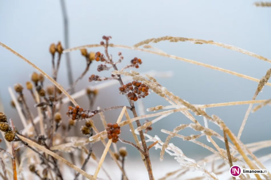 Kolejne ostrzeżenie po roztopach, a dziś rano lodowisko - zdjęcie 4