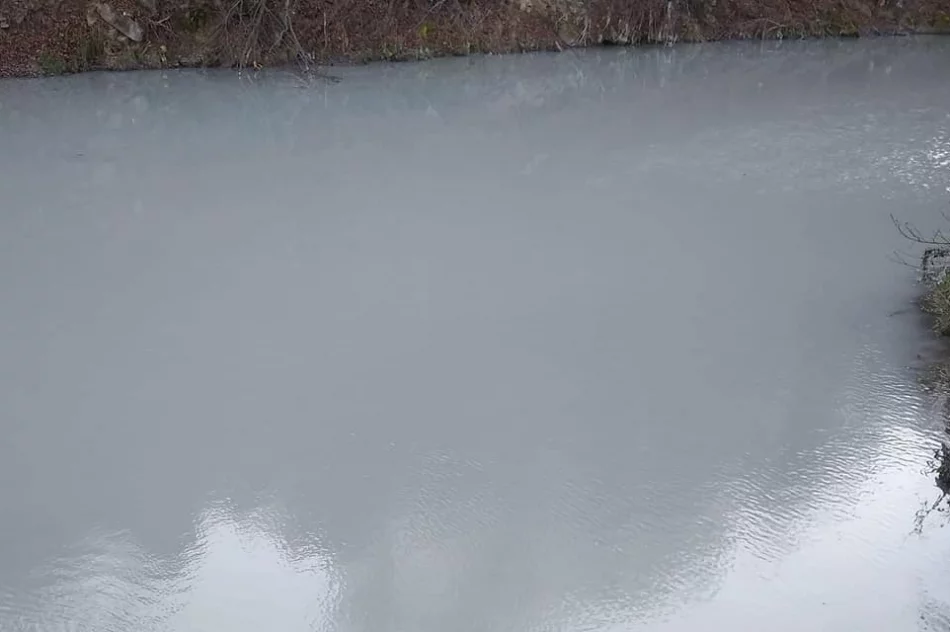 PZW zgłosił zatrucie rzeki. Przyczyną oczyszczalnia ścieków?  - zdjęcie 2