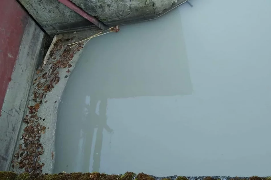 PZW zgłosił zatrucie rzeki. Przyczyną oczyszczalnia ścieków?  - zdjęcie 3