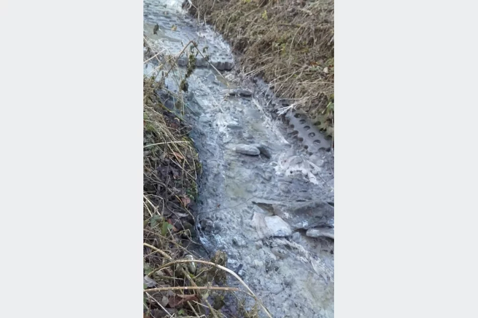 PZW zgłosił zatrucie rzeki. Przyczyną oczyszczalnia ścieków?  - zdjęcie 5