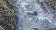 PZW zgłosił zatrucie rzeki. Przyczyną oczyszczalnia ścieków?  - zdjęcie 5
