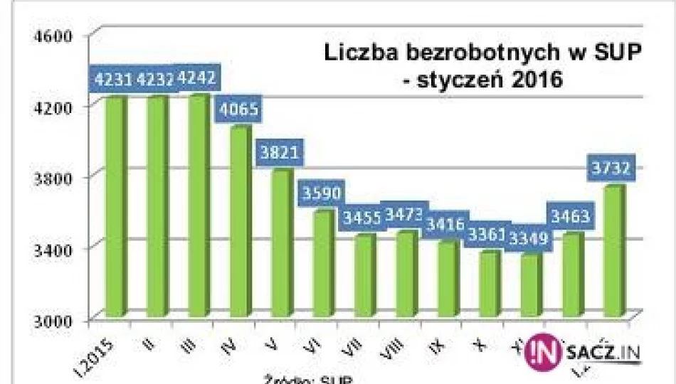 Bezrobocie w Nowym Sączu nieznacznie wzrosło - zdjęcie 1