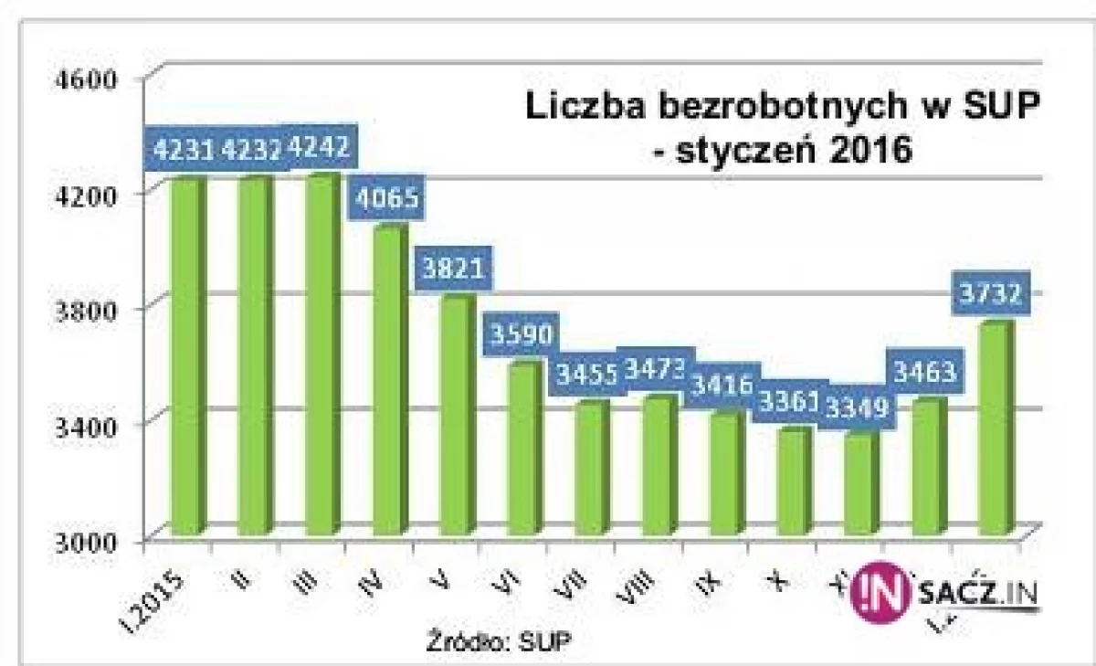 Bezrobocie w Nowym Sączu nieznacznie wzrosło