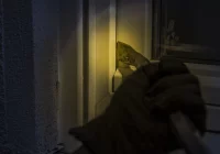 Przedświąteczne porady policji - zdjęcie główne