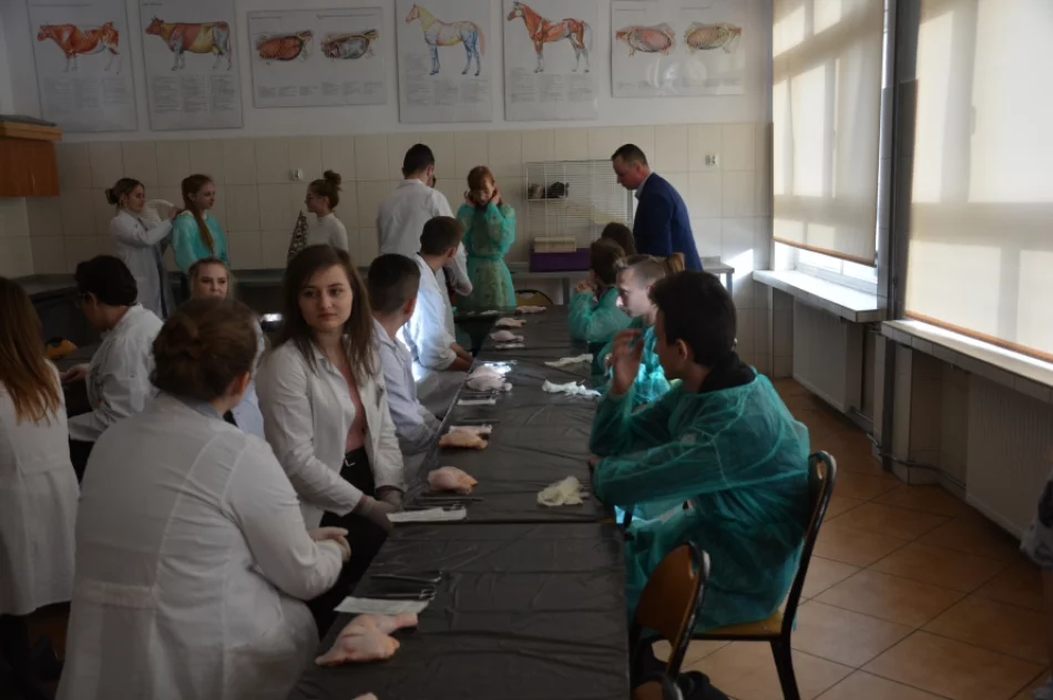 Odbyła się Limanowska Akademia Młodego Technika - zdjęcie 7