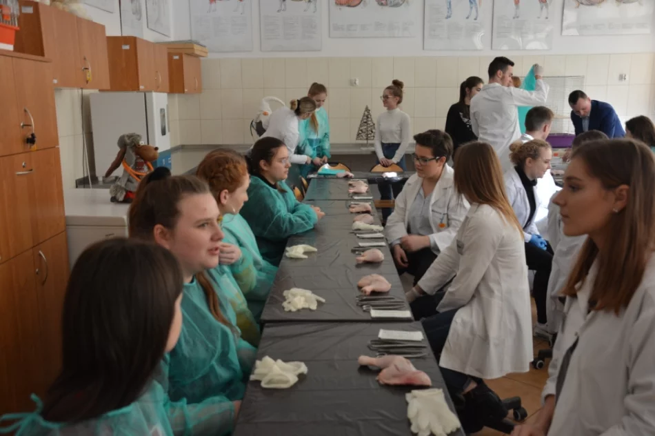 Odbyła się Limanowska Akademia Młodego Technika - zdjęcie 8