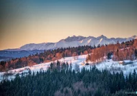 Ostrzeżenie II stopnia o intensywnych opadach śniegu - zdjęcie główne