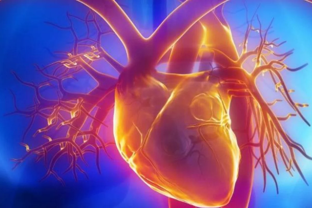 Ekspert: przyczyną niewydolności serca może być kardiomiopatia, czyli przebudowa mięśnia sercowego
