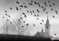 „W 365 dni dookoła Gminy Limanowa' - zdjęcie główne