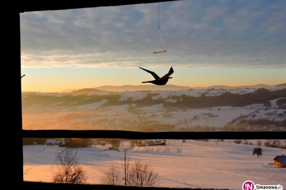 „W 365 dni dookoła Gminy Limanowa' - zdjęcie 2