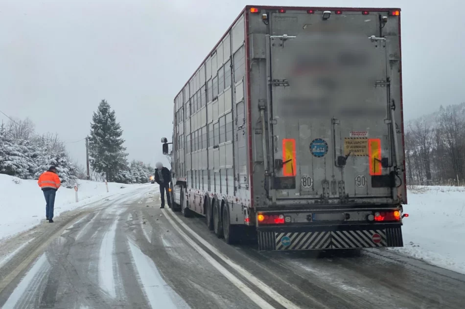 Utrudnienia na DK 28 - trudne warunki drogowe - zdjęcie 10