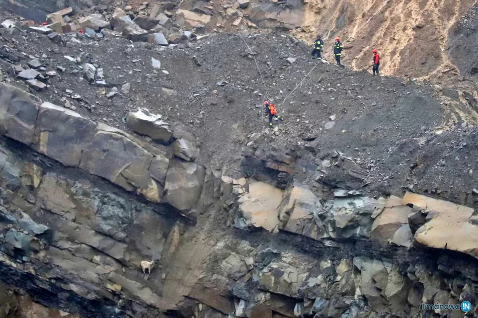 Strażacy bezpiecznie sprowadzili kozę ze skalnej półki na wysokości 30 metrów - zdjęcie 2