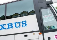 Postępowanie w sprawie cofnięcia zezwoleń największemu przewoźnikowi - zdjęcie główne