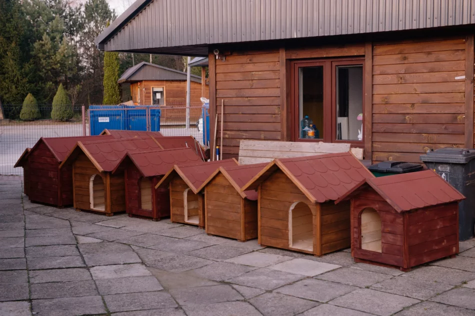 Działania prospołeczne realizowane przez LGD Przyjazna Ziemia Limanowska! - zdjęcie 3