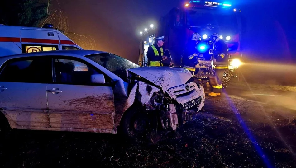 Święta na drogach bezpieczniejsze niż przed rokiem - zdjęcie 1