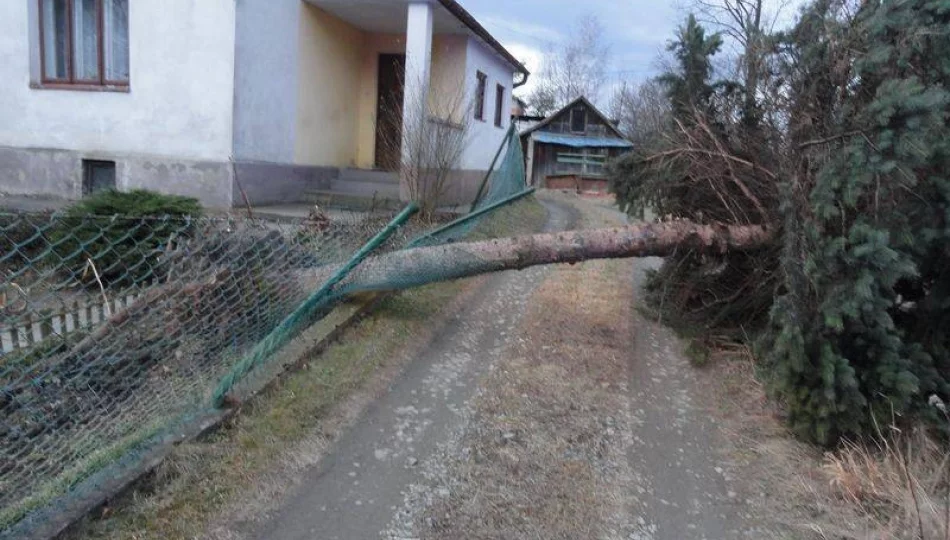 Skutki halnego na Sądecczyźnie - zdjęcie 1