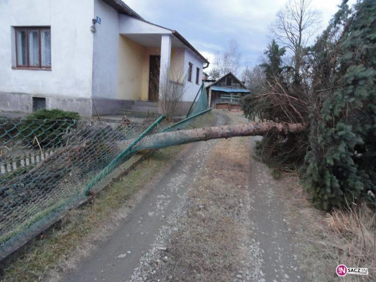 Skutki halnego na Sądecczyźnie