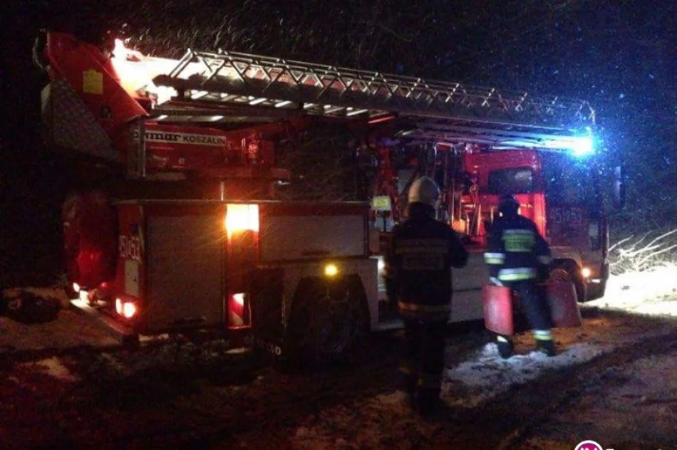 Interwencje straży. Kolejne miejscowości bez prądu - zdjęcie 3