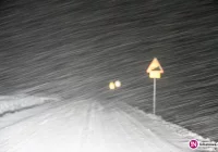 Trudne warunki na drogach, połamane drzewa. Występują awarie energetyczne - zdjęcie główne