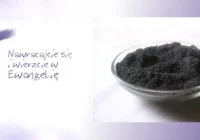 Początek Wielkiego Postu. Dziś Środa Popielcowa - zdjęcie główne