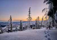 Dwa ostrzeżenia IMiGW: opady śniegu i silny wiatr - zdjęcie główne