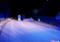 Zerwany dach, powalone drzewa - nocne interwencje straży - zdjęcie główne