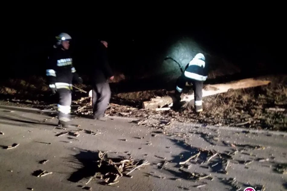 Zerwany dach, powalone drzewa - nocne interwencje straży - zdjęcie 2