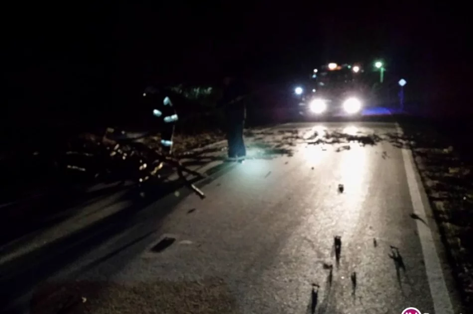 Zerwany dach, powalone drzewa - nocne interwencje straży - zdjęcie 3