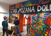 W Limanowej tylko kwesta, w Mszanie Dolnej pomaganie i wspólna zabawa - zdjęcie główne