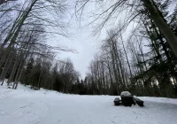 Gdzie na narty? Sprawdź warunki - zdjęcie główne