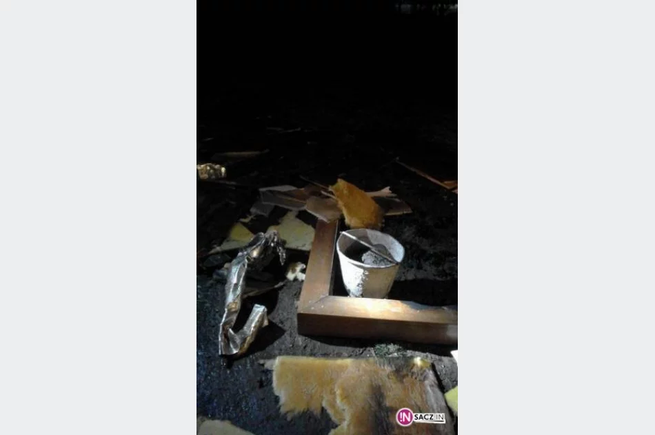 Na Axentowicza paliła się obudowa kominka - zdjęcie 2