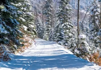 Trwają zapisy na III Ogólnopolski Bieg Beskidów i Gorców - zdjęcie główne