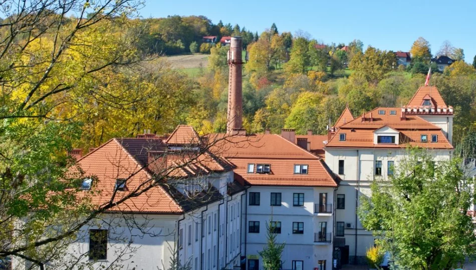 Aktualna sytuacja na lokalnym rynku pracy - zdjęcie 1