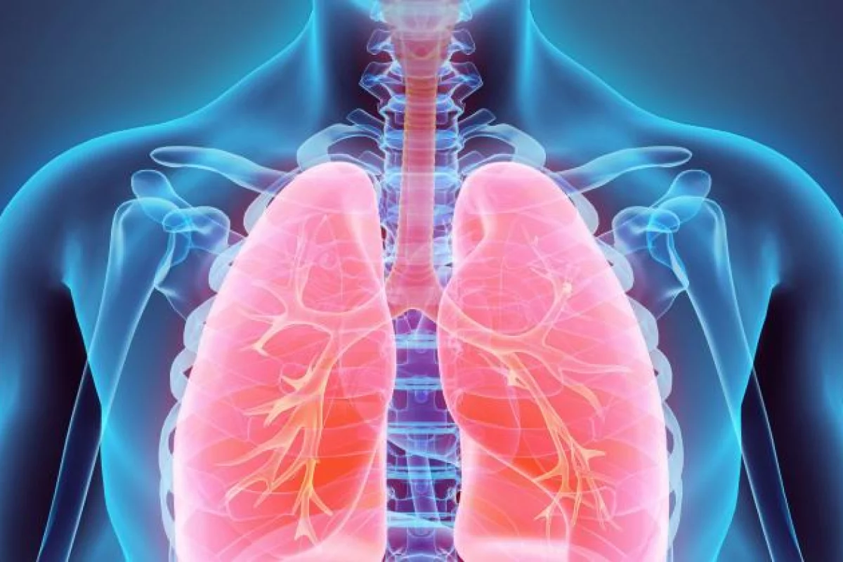 Rak płuca wymaga szybkich i zdecydowanych działań