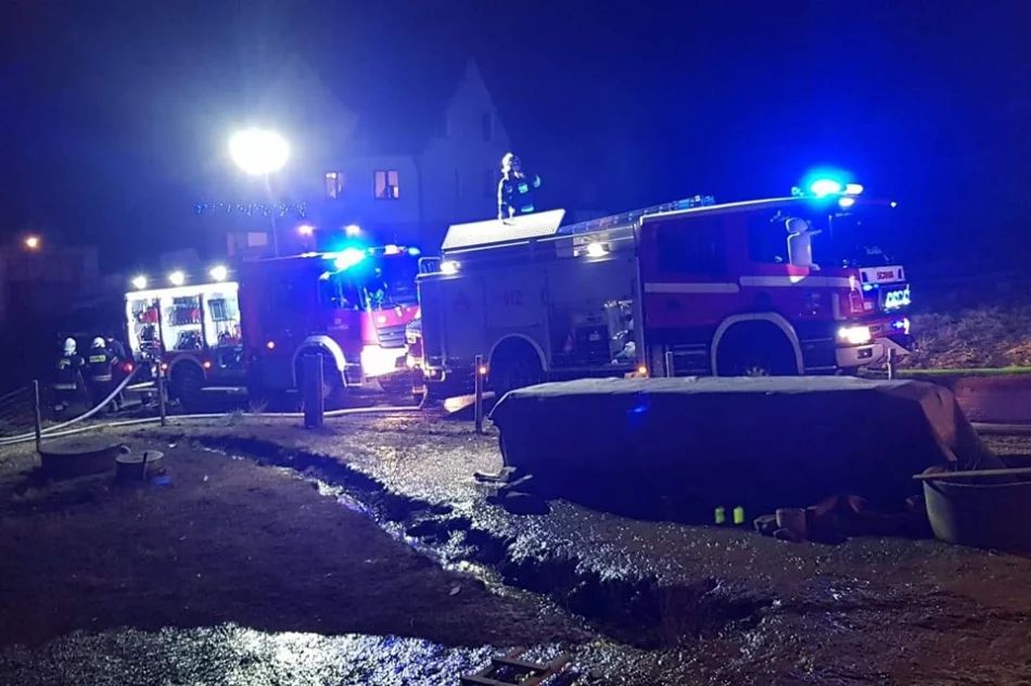 Doszło do pożaru zabudowań gospodarczych - zdjęcie 3