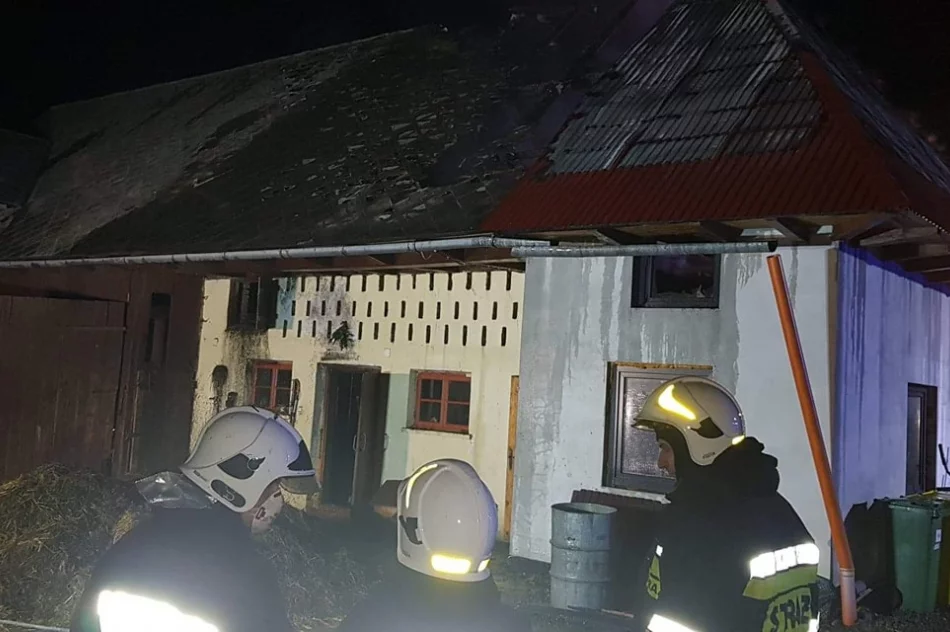 Doszło do pożaru zabudowań gospodarczych - zdjęcie 4