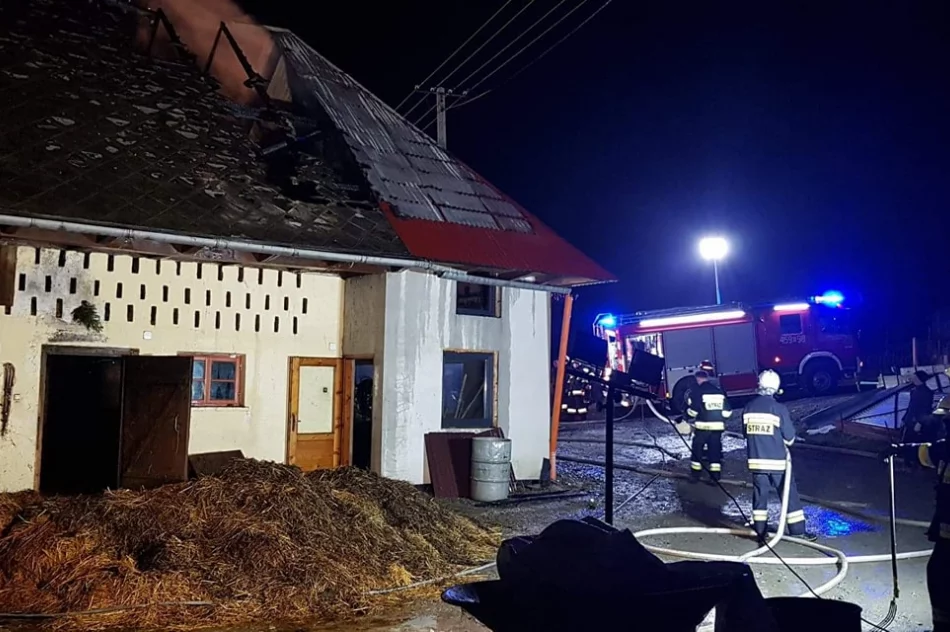 Doszło do pożaru zabudowań gospodarczych - zdjęcie 5
