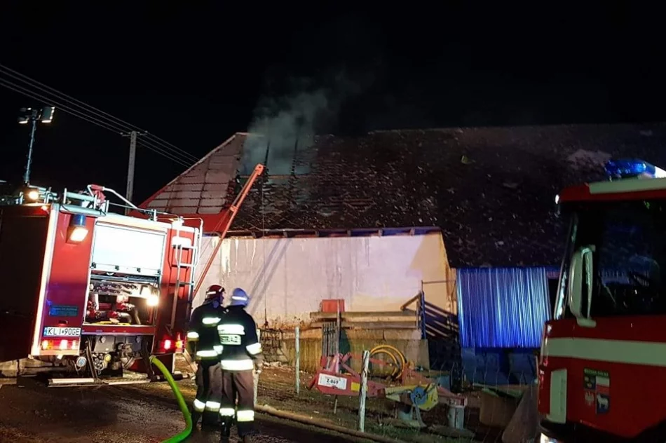 Doszło do pożaru zabudowań gospodarczych - zdjęcie 6