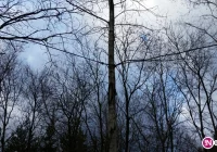 'Nowatorski' przyłącz energetyczny pod lupą PINB (wideo) - zdjęcie główne