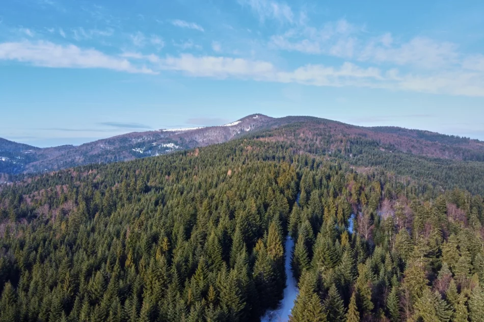 III Ogólnopolski Bieg BESKIDÓW i GORCÓW - zdjęcie 16