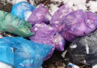 Posegregowane śmieci  w workach wyrzucił do koryta potoku - zdjęcie główne