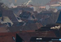 Ponad 160 ekointerwencji w dwa tygodnie - zdjęcie główne