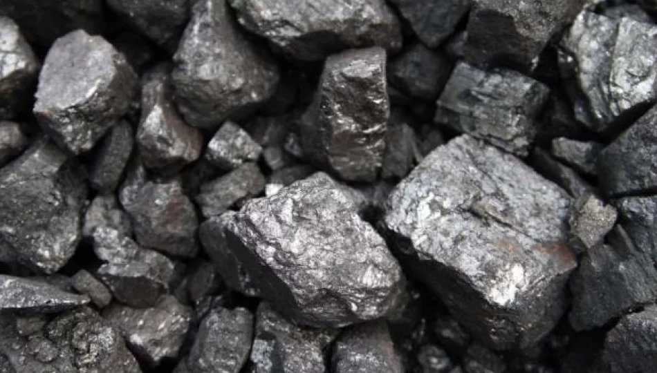 Sprzedaż węgla w internecie - uwaga na fałszywe faktury - zdjęcie 1