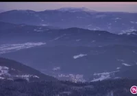 8 mln zł trafiło na inwestycje. 'Rok był trudny ze względu na możliwy podział' - zdjęcie główne