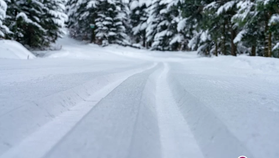 Jakie warunki na narty? Zobacz trasę biegową Mogielica na filmie - zdjęcie 1