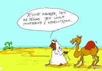 Kreska Marka Stawowczyka - zdjęcie główne