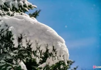 Alergia na zimę? Tak to możliwe! - zdjęcie główne