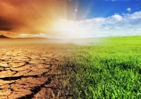 Obserwujemy bardzo intensywną suszę atmosferyczną i rolniczą - zdjęcie główne
